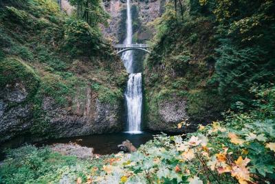 Excursión de medio día por la tarde a la cascada Multnomah y las  Excursión de medio día por la tarde a la cascada Multnomah y las