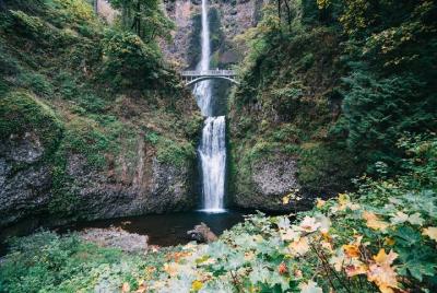 Tour privado por las cataratas Multnomah Falls y Gorge Waterfalls