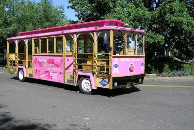 Portland Combo: tranvía turístico de paradas libres y excursión a