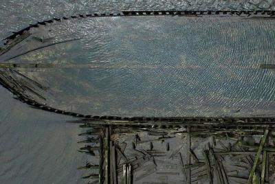 Paseo en barco por Green Jacket Shoal Paseo en barco por Green Jacket Shoal