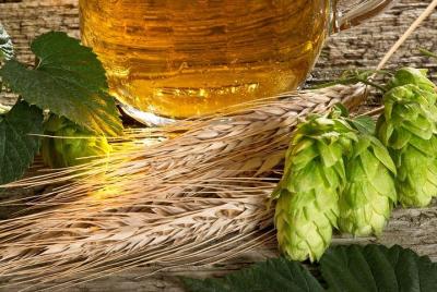 Excursión a la cervecería Canandaigua Lake