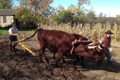 Boleto de entrada al museo y pueblo de Genesee Country