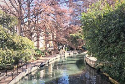 Recorrido a pie por el centro histórico y el paseo fluvial Recorrido a pie por el centro histórico y el paseo fluvial