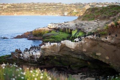 Excursión turística privada definitiva a San Diego Excursión turística privada definitiva a San Diego