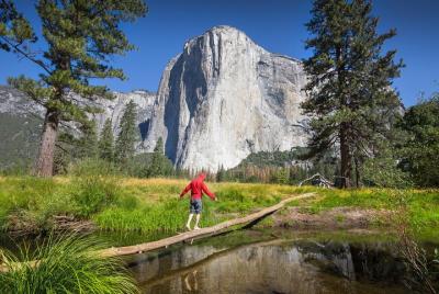 Excursión de 3 días al Parque Nacional de Yosemite y Secuoyas Gig Excursión de 3 días al Parque Nacional de Yosemite y Secuoyas Gig
