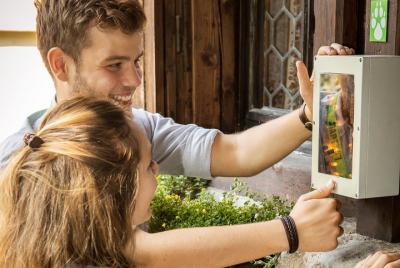 Alfalfa Foxtrail Zeus