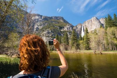 Excursión al Parque Nacional de Yosemite con sus secuoyas gigante Excursión al Parque Nacional de Yosemite con sus secuoyas gigante