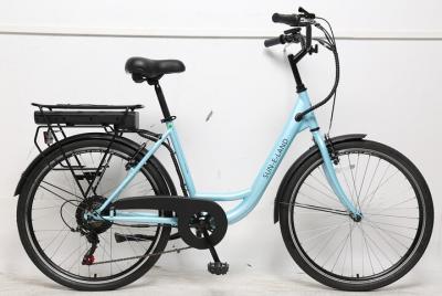 Tour privado guiado en bicicleta en Bellingham