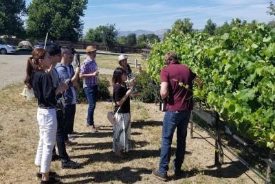 Visita guiada privada a la región vinícola de Santa Ynez desde Sa