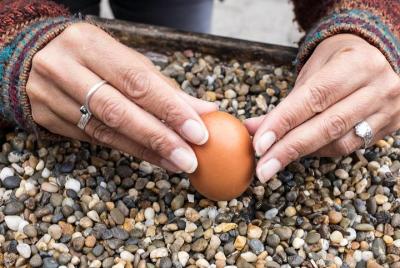 La Mitad del Mundo y The Original Quito Craft Beer Tour - 