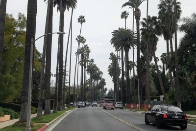 Tour privado de Hollywood y Beverly Hills saliendo de Santa Mónic Tour privado de Hollywood y Beverly Hills saliendo de Santa Mónic