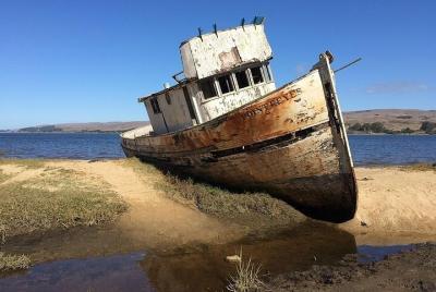 Un viaje a través del tiempo: una historia ganadera de Point Reyes National Seashore Un viaje a través del tiempo: una historia ganadera de Point Reyes National Seashore