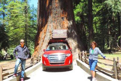 Redwood National Park Tour Paquete privado de 2 días con paquete turístico Hotel incluido Redwood National Park Tour Paquete privado de 2 días con paquete turístico Hotel incluido