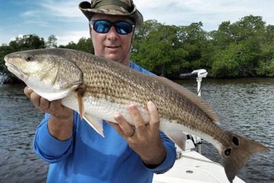 Cartas de pesca costera de Sarasota Cartas de pesca costera de Sarasota