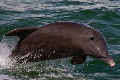 Medio día todo el camino Medio día todo el camino