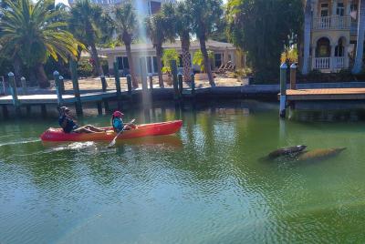 Tour en kayak por Siesta Key