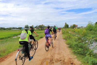 Killing Field y Paddy Rice Fields Bike Ride