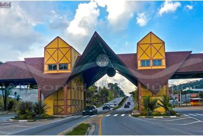 Ven a la Ruta del Vino en São Roque en coche - tour con guías loc