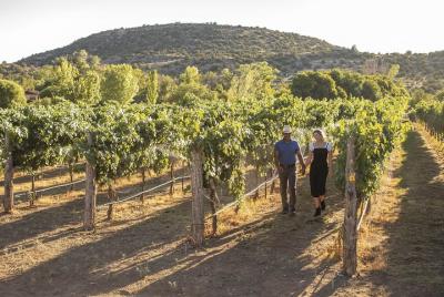 Bliss Wine Tours: el tour de viñedos más lujoso de Sedona Bliss Wine Tours: el tour de viñedos más lujoso de Sedona