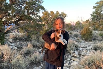 Tours privados de 2 horas a Sedona y Oak Creek Canyon