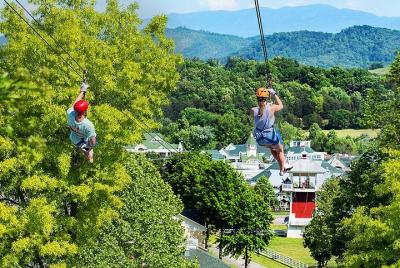 Actividad de tirolina de 7 líneas para grupos pequeños en el parque natural de Sevierville Actividad de tirolina de 7 líneas para grupos pequeños en el parque natural de Sevierville