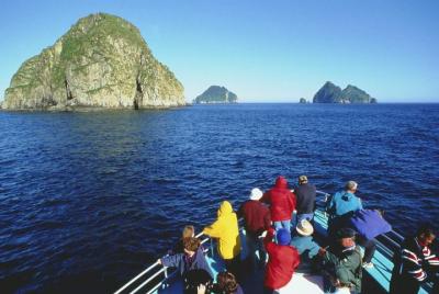 Lugares turísticos en Seward  Cosas que hacer en Seward  497954951