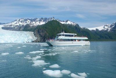 Excursión por la costa Seward: Tour por el Parque Nacional de los