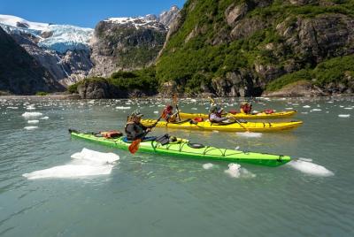 Crucero por los fiordos de Kenai (gran día) y combo de kayak por 
