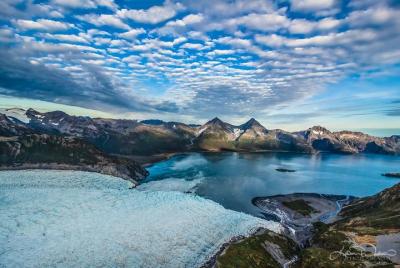 Vuelo escénico de 60 minutos sobre los fiordos de Kenai y el bosq