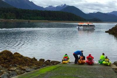 Excursión por la costa de Sitka: Kayak guiado por Sitka Harbor & 