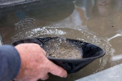 Gold Panning Adventure en el centro de Skagway Alaska