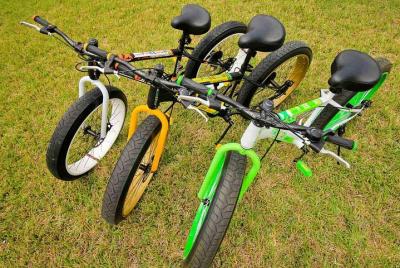 Alquiler de bicicletas las 24 horas