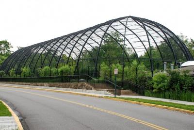 St. Louis Zoo Hunt: Aventura en el St. Louis Zoo St. Louis Zoo Hunt: Aventura en el St. Louis Zoo