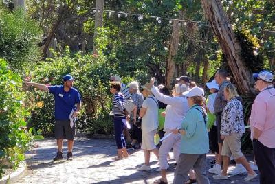 Excursión de historia del sitio de San Petersburgo a la jungla de Excursión de historia del sitio de San Petersburgo a la jungla de