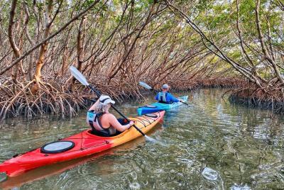 Excursión en kayak para grupos pequeños de Shell Key Preserve Excursión en kayak para grupos pequeños de Shell Key Preserve