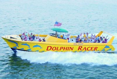 St. Pete Beach Dolphin Racer Lancha rápida aventura St. Pete Beach Dolphin Racer Lancha rápida aventura