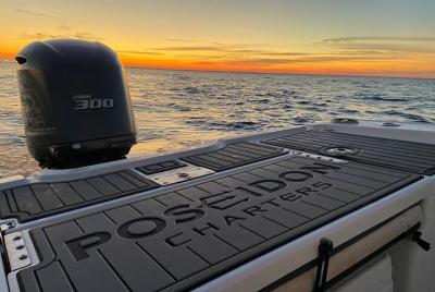 Crucero al atardecer / con delfines Crucero al atardecer / con delfines