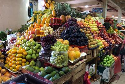 Gastronomic tour: Test your senses