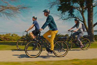 Tour guiado de medio día por Leelanau en bicicleta eléctrica