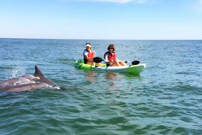 Visita ecoturística en kayak con delfines Visita ecoturística en kayak con delfines