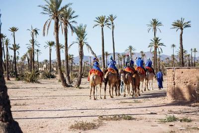 Paseo en camello al atardecer en Marrakeh Palm Grove