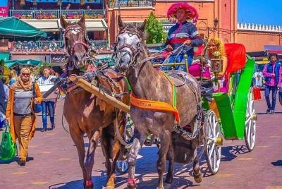 Marrakech en carruaje tirado por caballos y tratamiento de spa