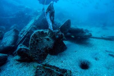 Viaje de buceo corto y divertido: naufragio Fifi, arrecife artifi