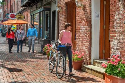 Alquiler de bicicletas eléctricas Alexandria