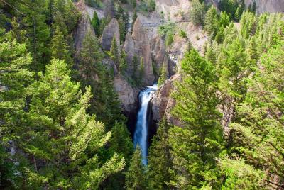 Tour privado de día completo en el Parque Nacional de Yellowstone