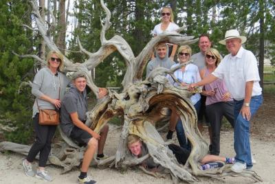 Parque Nacional de Yellowstone: tour privado de día completo del 