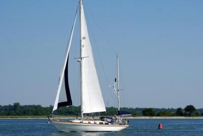 Tarde de vela Tarde de vela
