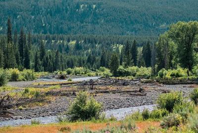 Excursión de un día a pie por el valle del río Lamar