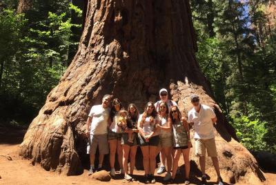 Tour de 4x4 de Sequoia Gigante Off-Road Tour de 4x4 de Sequoia Gigante Off-Road