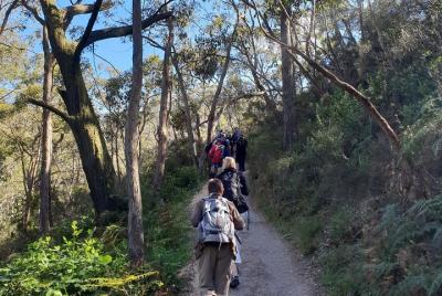 Excursión de un día a Mount Lofty Hike y Cleland Wildlife Park de Excursión de un día a Mount Lofty Hike y Cleland Wildlife Park de